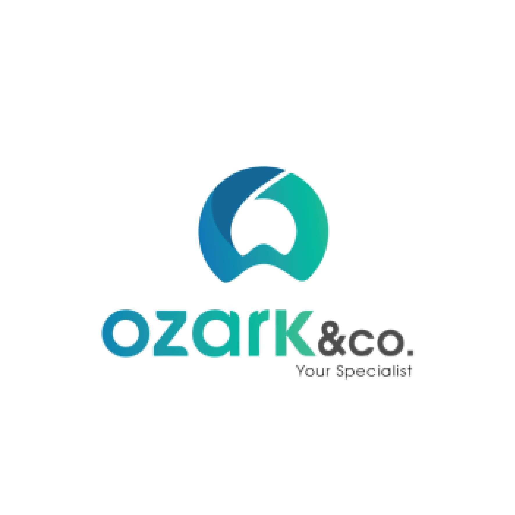 logo 17-13